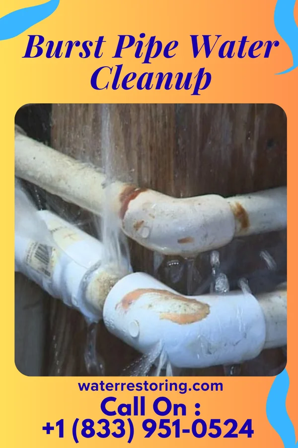 Burst Pipe Water Cleanup in Greens Fork, IN