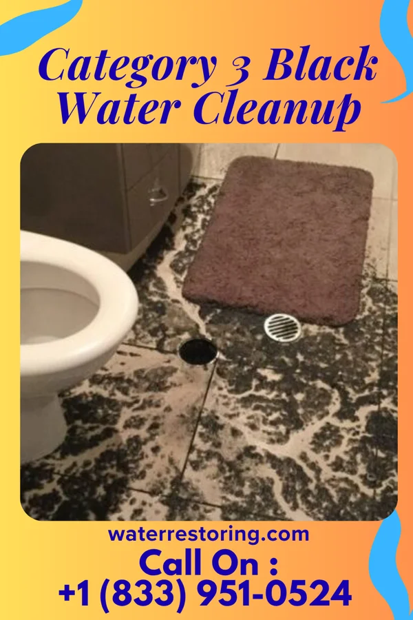 Category 3 Black Water Cleanup in Greens Fork, IN