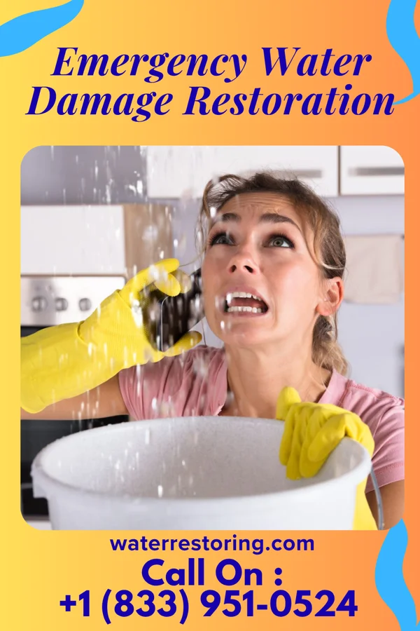 Emergency Water Damage Restoration in Greens Fork, IN