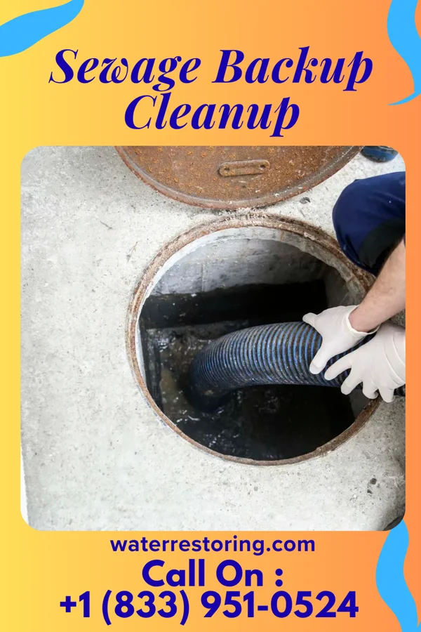 Sewage Backup Cleanup in Greens Fork, IN